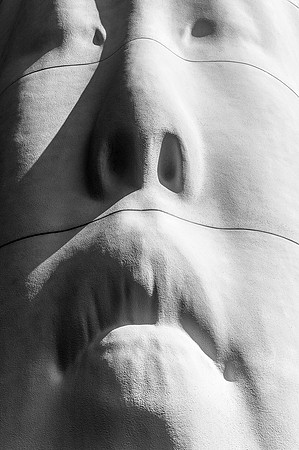 Echo by Jaume Plensa