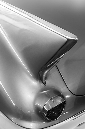 Caddy Fin