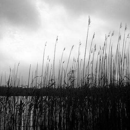 Pennsylvania Lake