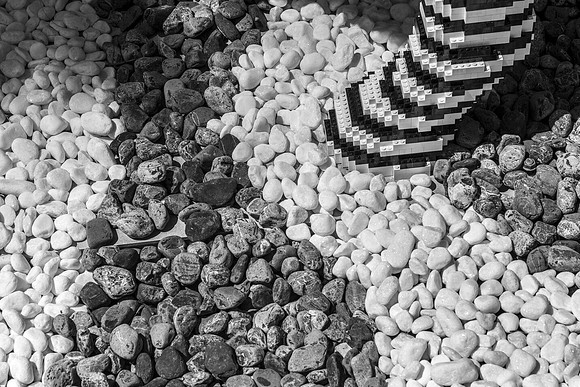 Lego Zebra @ Mounts Gardens
