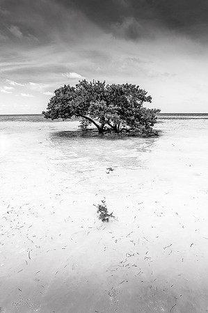 Anne's Beach Islamorada