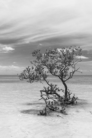 Islamorada
