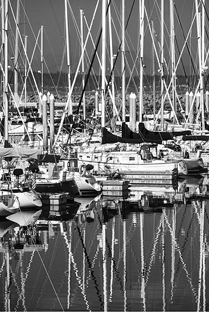 Marina Seattle