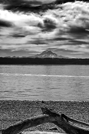 Mt Rainier 2