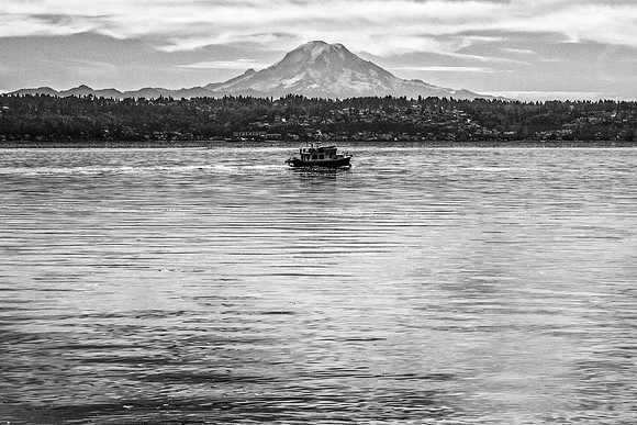 Mt Rainier 1