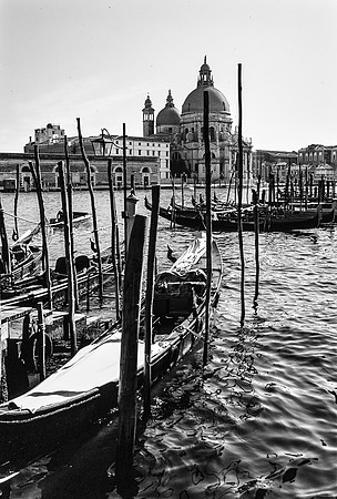 Gondolas Venice