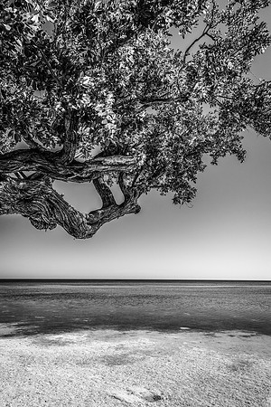 Islamorada