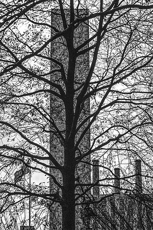 NYC