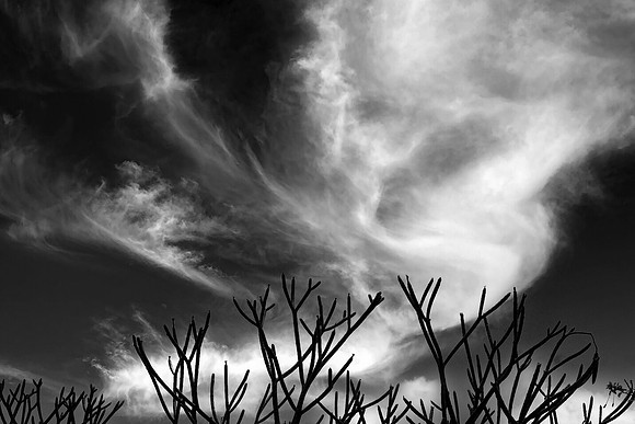 Angry Sky @ Mounts Gardens